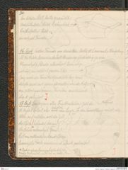 Seite 34, Tagebuch "Palästina (Tagebuch)" (NHMW-PRAE-BBB-80)